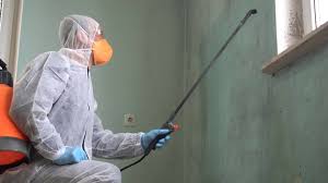 Mold Remediation for Vacation Homes in Augusta, KY