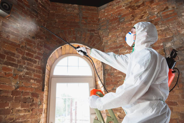 Mold Removal for HVAC Installations in Augusta, KY