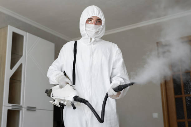 Reliable Augusta, KY Mold Removal & Remediation Solutions