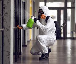 Mold Odor Removal Services in Augusta, KY